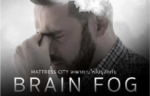 brain-04-525-338