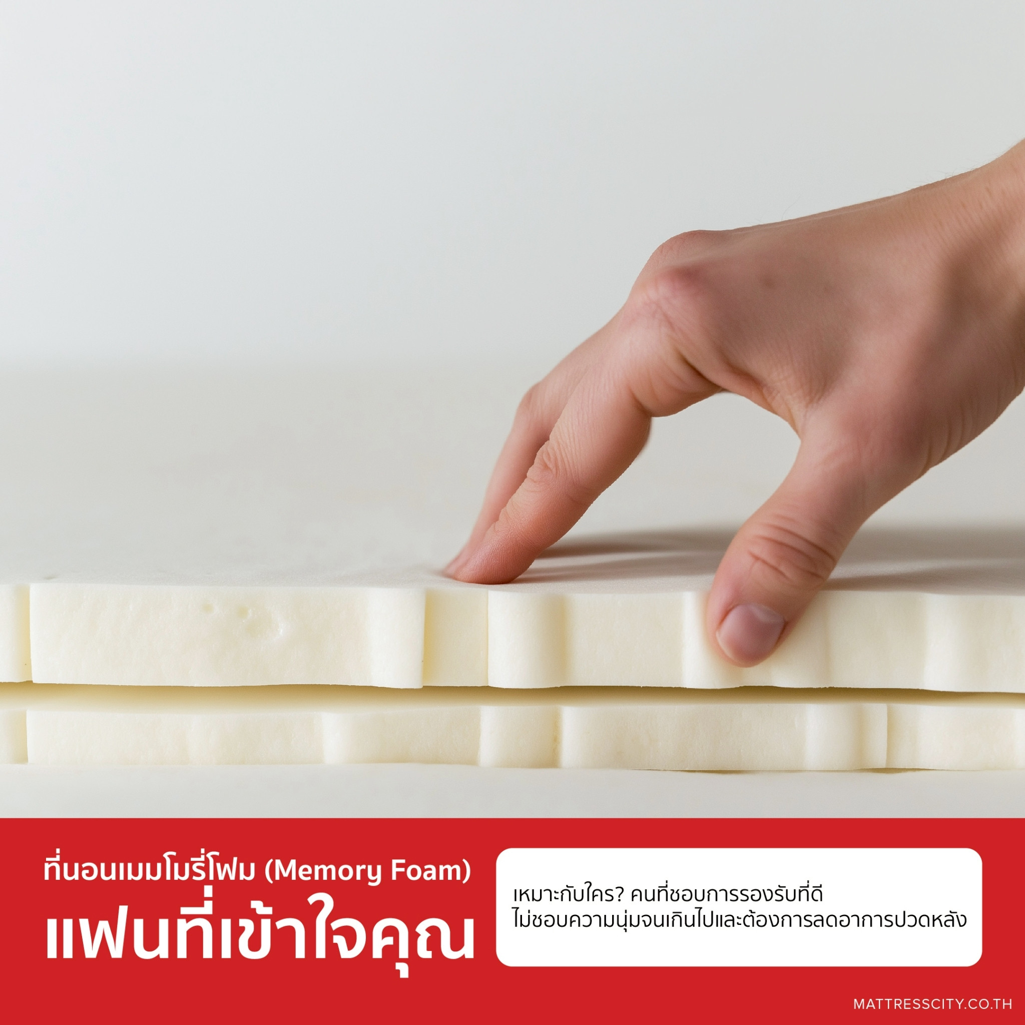 banner-th-002