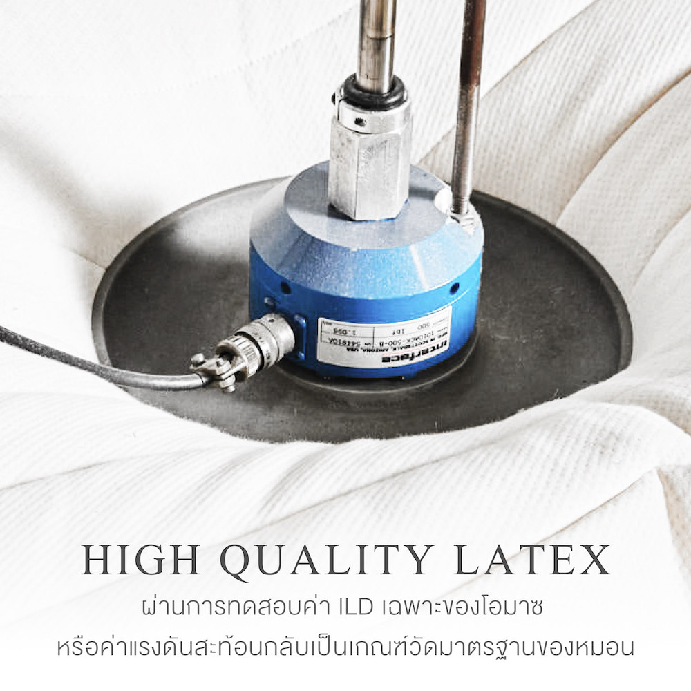 Omazz® Natural Latex Foam Pillow Authentic Talatech™ Mattress