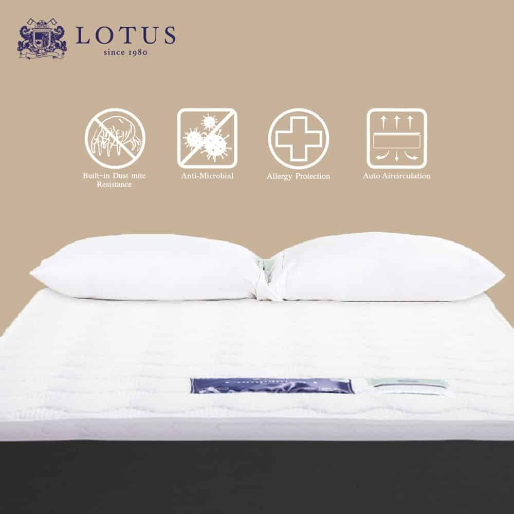 topper-lotus-companion-i-03-min