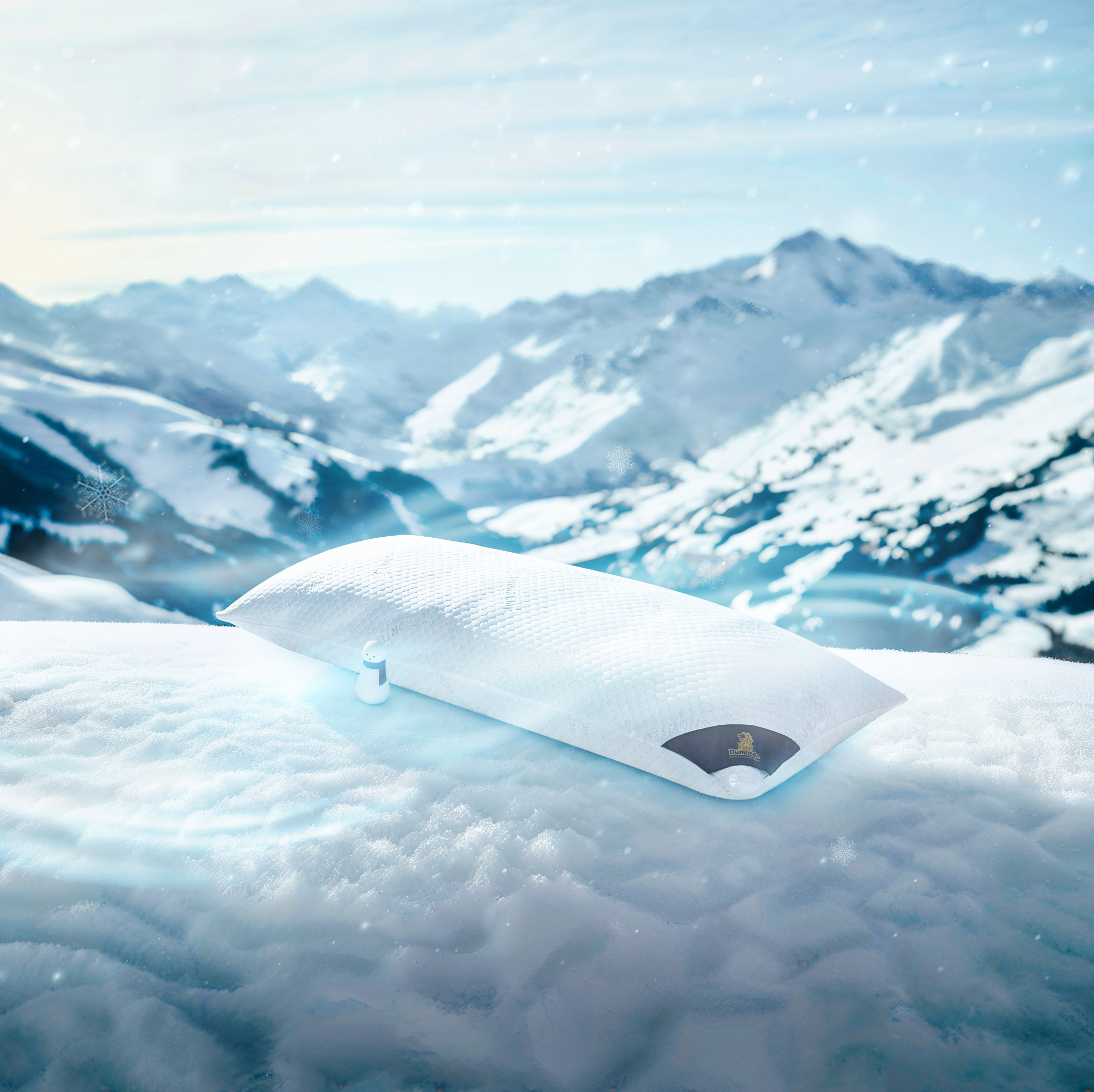 2024-snowtemp-use
