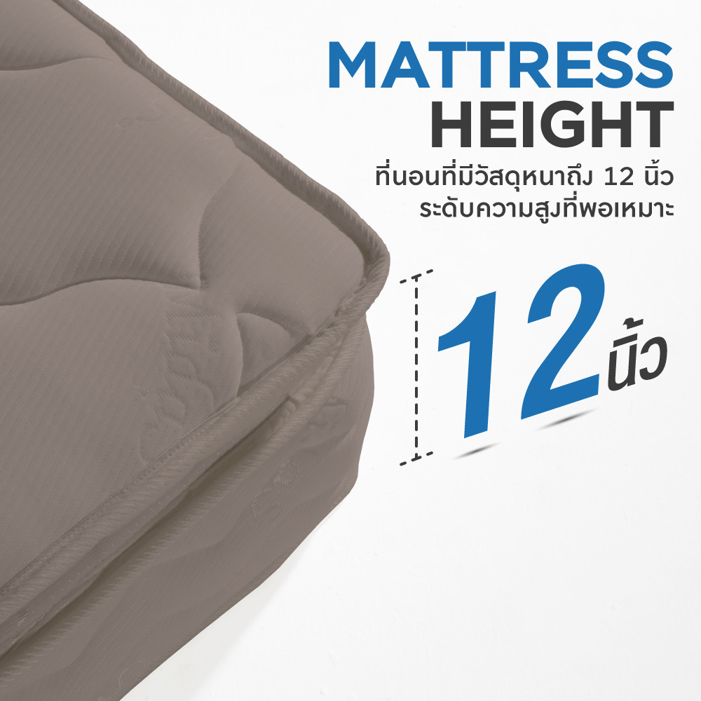 Midas Mattress Sheffield Mattress City Thailand