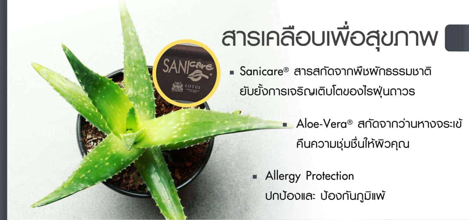 lotus-mattress-modica-7