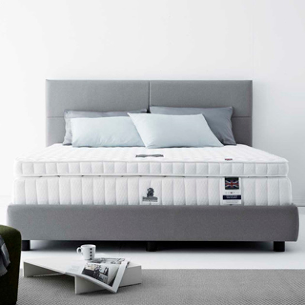 Dunlopillo Topper Firma Latex Mattress City Thailand