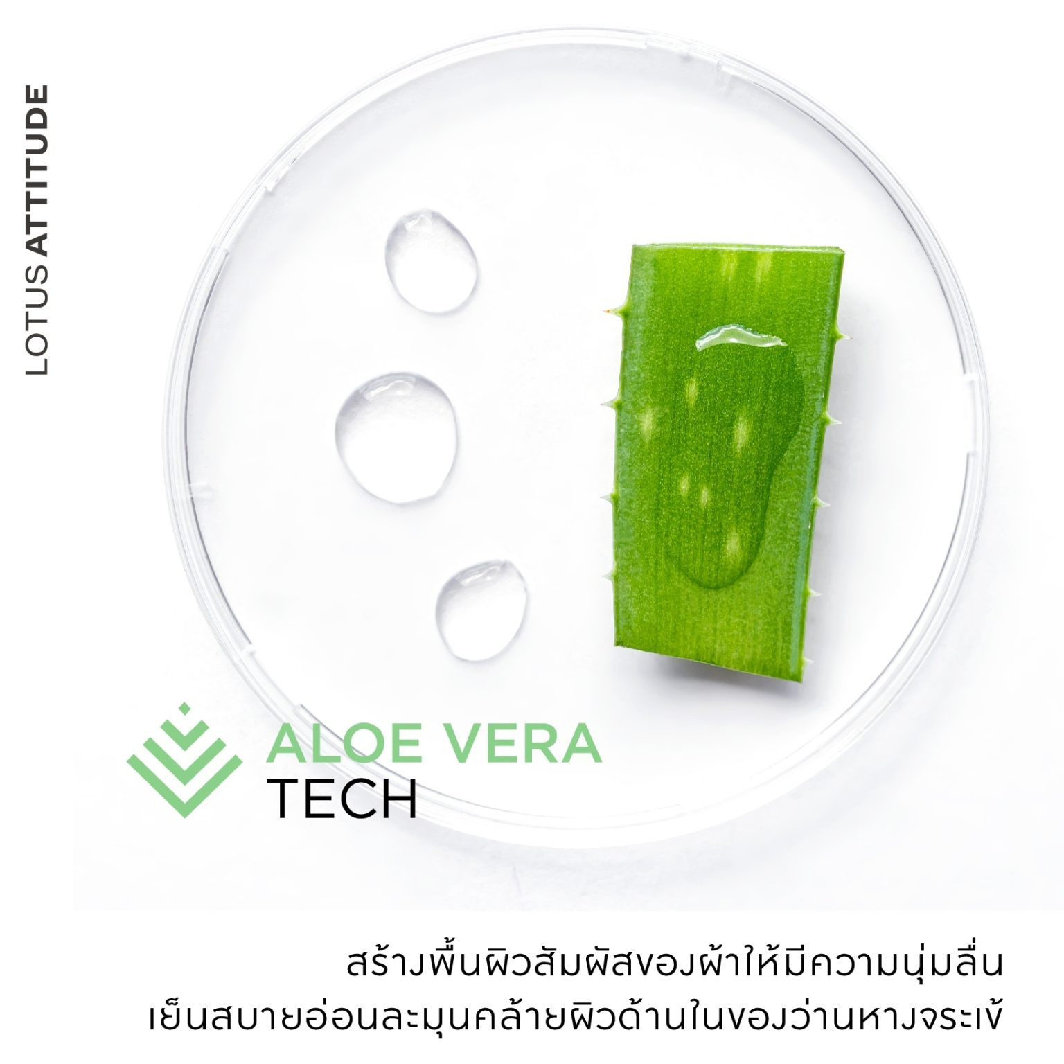 Bolster Case Lotus Attitude NORDEN GRA Mattress City Thailand